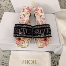 Christian Dior Slippers